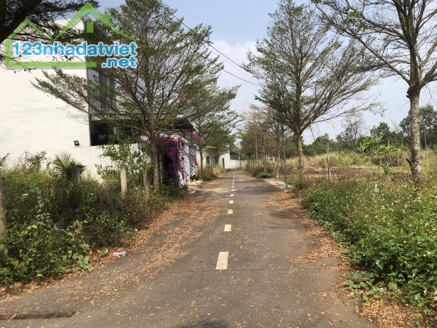 Đất Đẹp Sông Trầu – Gần Nguyễn Hoàng – Đường Nhựa 6m – Giá Chỉ 950 Triệu - 1