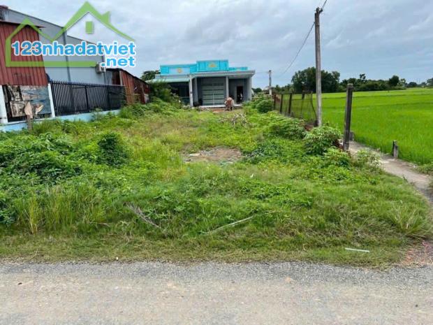 Bán Miếng Đất Mặt Tiền Nhựa Thị Trấn Đức Hoà,145m2 full thổ cư ,SHR Công Chứng Ngay.