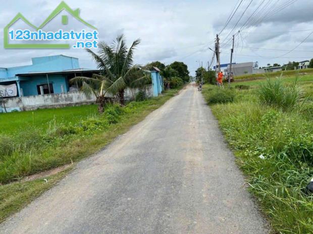 Bán Miếng Đất Mặt Tiền Nhựa Thị Trấn Đức Hoà,145m2 full thổ cư ,SHR Công Chứng Ngay. - 2