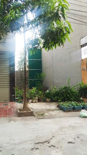 Hàng hiếm! Bán đất dịch vụ Vạn Phúc, phía sau shophouse Him Lam, 46m2, mt 4.6m giá đầu tư - 3