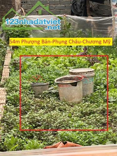 CHÍNH CHỦ BÁN LÔ ĐẤT 54M TẠI PHỤNG CHÂU-CHƯƠNG MỸ-HÀ NỘI - 3