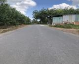 Đất Thổ Cư Giá Rẻ Sát KCN Giang Điền – 115m², Chỉ 1.1 Tỷ – Ngân Hàng Hỗ Trợ 70%