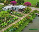 Đất nhà vườn rẻ đẹp suối sau nhà 1 tỷ 650tr/500m2