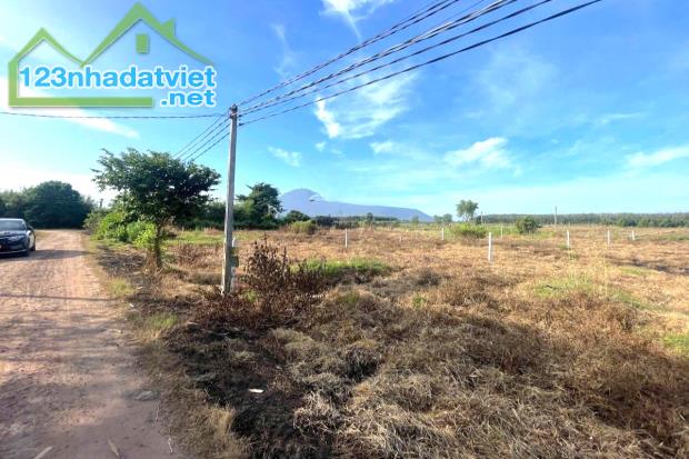 CHÍNH CHỦ CẦN TIỀN BÁN NHANH NỮA GIÁ 3 SÀO ĐẤT NGAY CHỢ MINH LẬP 190 TRIỆU - 1