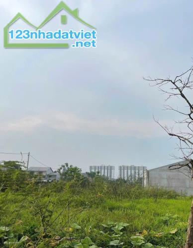 ĐẤT KQH XUÂN PHÚ - GẦN CHỢ CỐNG MỚI 96m2 - 2