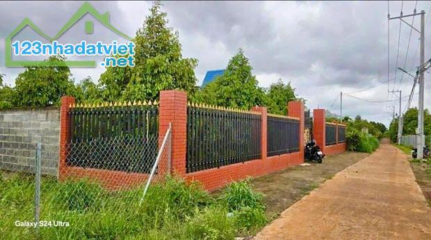 ĐỊNH CƯ HOA KỲ NÊN CẦN BÁN NHANH VƯỜN SẦU RIÊNG 300 CÂY GIÁ CHỈ 550 TRIỆU - 1