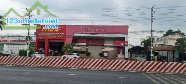 GẤP BÁN, BIỆT THỰ Ở + CHO THUÊ, DT 1000M²(NGANG 21M), DÒNG TIỀN HƠN 1 TỶ/NĂM - 4