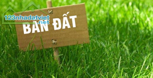 Cần tiền bán Gấp nô đất 30m2 tổ 1 Giang Biên Long Biên, đường ô tô vào nhà,giá 3,5 tỷ