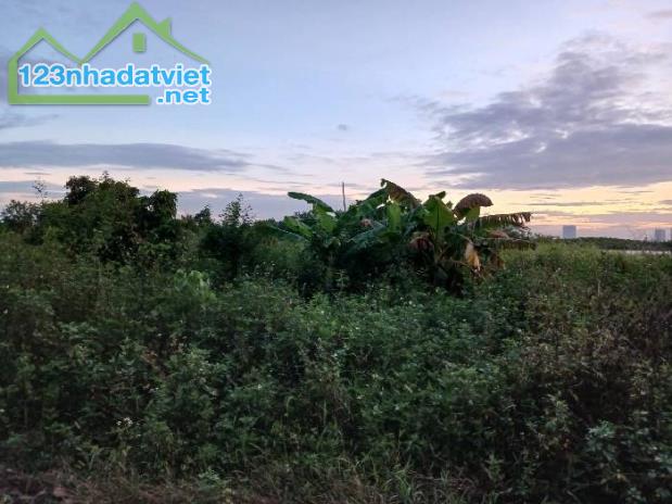 Bá.n đất Yên Mỹ – Thanh Trì, 290m2 – Mặt tiền 7.8m