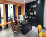 BÁN NHÀ LẠC LONG QUÂN, PHÂN LÔ, ÔTÔ TRÁNH, VỈA HÈ, KINH DOANH, 91M2 GIÁ 29 TỶ 450