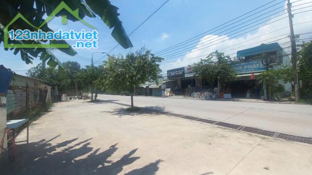 Bán đất mặt tiền DTL768 Thiện Tân DT100m2, sổ riêng thổ cư