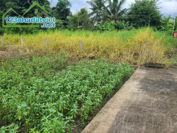 ĐẤT SIÊU ĐẸP - GIÁ TỐT - Bán GẤP Lô Đất Tiềm Năng Tại Long Khánh Xã Phước Hậu, Cần Giuộc - 3