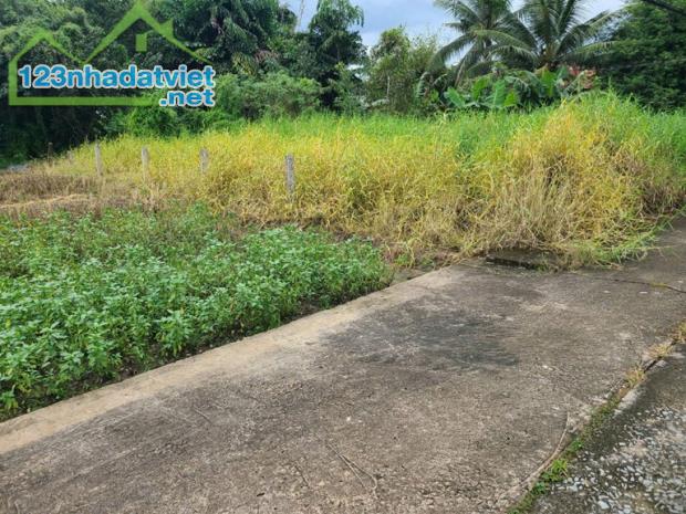 ĐẤT SIÊU ĐẸP - GIÁ TỐT - Bán GẤP Lô Đất Tiềm Năng Tại Long Khánh Xã Phước Hậu, Cần Giuộc - 4