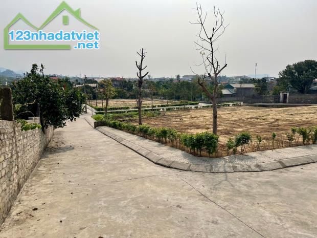🏆 Sở hữu siêu phẩm đất nền sinh lời cao chỉ với 600tr tại Quảng Ninh - 3