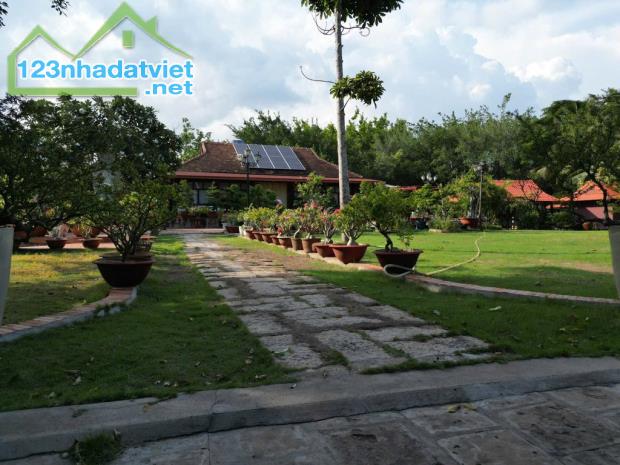 Cơ Hội Đầu Tư 10.000m2 đất Mặt Tiền Hưng Long, Bình Chánh Chỉ 80 Tỷ - 3