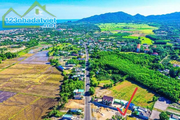 CẤN BÁN GẤP LÔ ĐẤT 467M2 NGAY MẶT TIỀN ĐƯỜNG VEN BIỂN VŨNG TÀU BÌNH CHÂU - 2