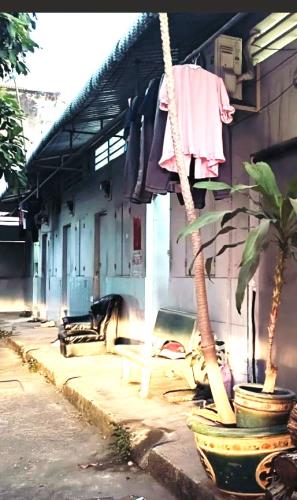 Cần Bán Gấp Dãy Trọ Tại Thủ Đức-Khu VIP Tiện Ích, Giá Tốt, Nhỉnh 5 Tỷ(TL) - 2