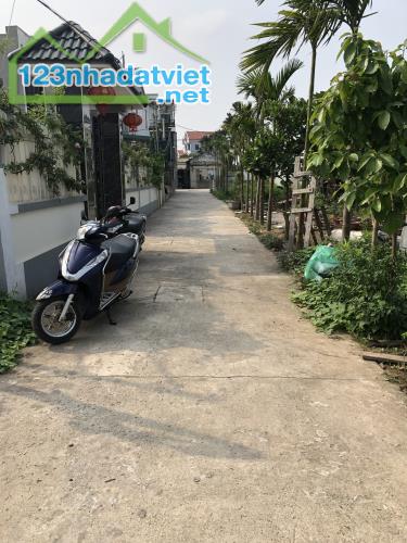 Bán đất Xâm Xuyên, Hồng Vân, Thường Tín – 100m² – Ô tô tải đỗ cửa – Giá chỉ 4x triệu/m² - 1