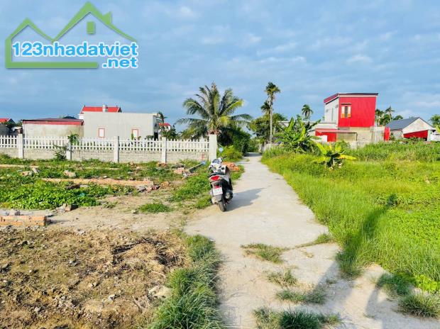 Bán đất Minh Tân - Kiến Thụy - Hải Phòng - 2
