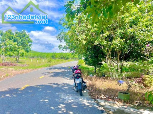 🎀 203m2 có 520tr. giá đẹp có 1 không 2. sổ hồng riêng. Bình Mỹ Củ Chi - 3