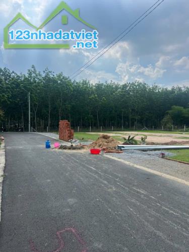 🏡 SIÊU PHẨM BÌNH DƯƠNG – ĐẤT 1 XẸT DT744 – GIÁ CHỈ 350 TRIỆU!!!