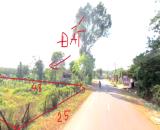 BÁN 1.257M2 MẶT TIỀN LIÊN HUYỆN NGAY ỦY BAN TRƯỜNG CHỢ, SÂN BAY CHỈ 245 TRIỆU