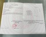 ✅⏩BÁN ĐẤT 245M TẶNG NHÀ LẦU 2/ NGUYỄN THỊ THẢNH,THỚI TAM THÔN ,HÓC MÔN