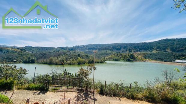 Bán đất thổ cư 524m² view hồ Xuân Sơn, săn mây buổi sáng tại Xuân Trường, Đà Lạt - 3
