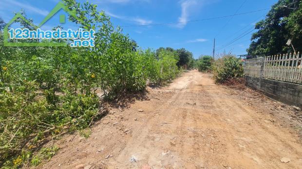 Bán 2000m2 đất thổ cư Hẻm Lý Thường Kiệt, Thị xã LaGi giá đầu tư - 4