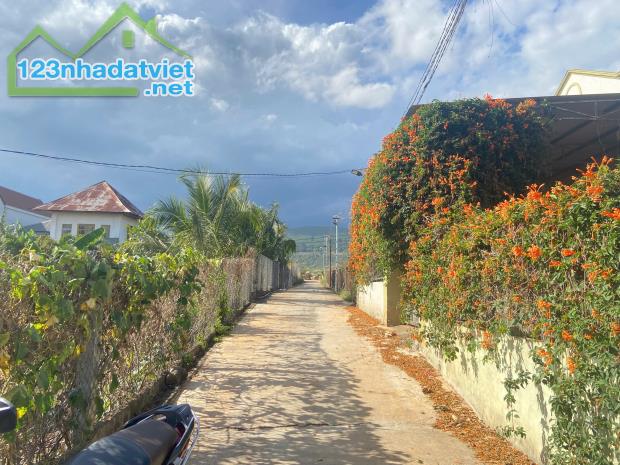 Bán nhanh đất Hiệp Thạnh, Đức Trọng, Cách Quốc Lộ 20 chỉ 100m, Gần Sân Bay Liên Khương - 2