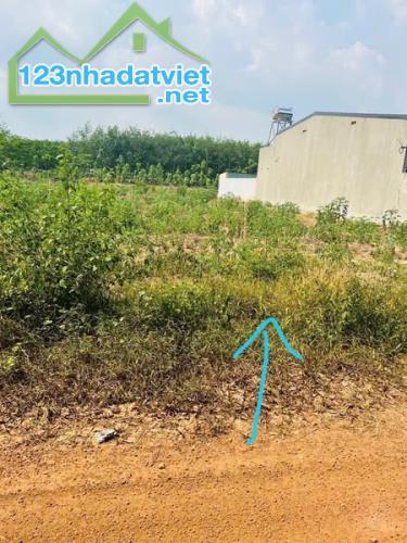 Bán đất sát KCN tân tiến 1,2 chỉ cần 180tr - 2