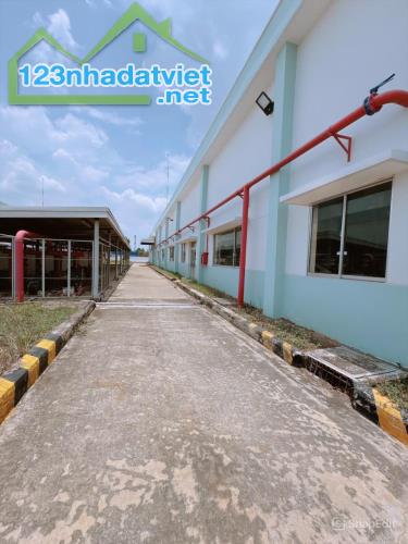 Cho thuê xưởng FDI KCN Amata, Long Bình, Biên Hòa, 3100m2, giá thuê 292tr/tháng. - 3