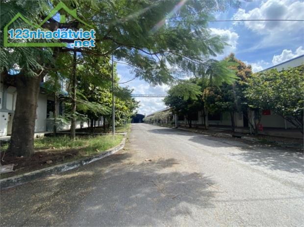 chuyển nhượng toàn bộ công ty đang sản xuất may mặc. thời gian sử dụng đất lâu dài - 1