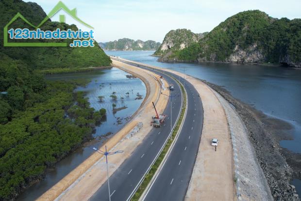 Bán lô đất mặt đường bao biển Trần Quốc Nghiễn, phù hợp đầu tư, phân lô, hàng HIẾM - 1