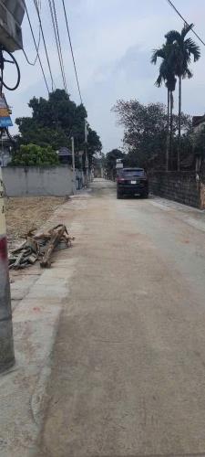 311m tại tt CHỢ GIÁ HƠN 10TR.KINH DOANH NHIỀU MẶT HÀNG ĐA DẠNG. ĐƯỜNG THÔNG - 2