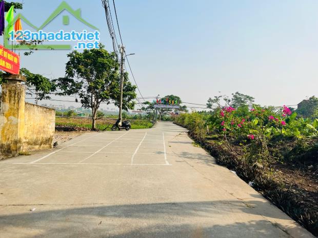 Bán lô đất Quỳnh Cư, Hùng Vương, Hồng Bàng 45m giá hơn 900tr LH 0979087664 - 4