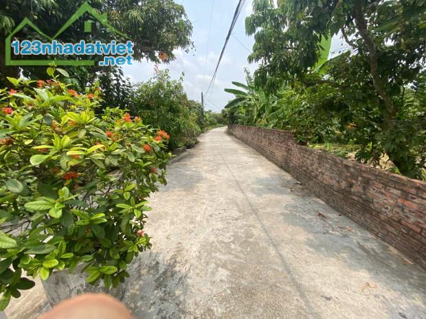 Bán đất Thanh Hồng – Hạ tầng đồng bộ – Gần trường, chợ, 320m chỉ 9 tỷ.