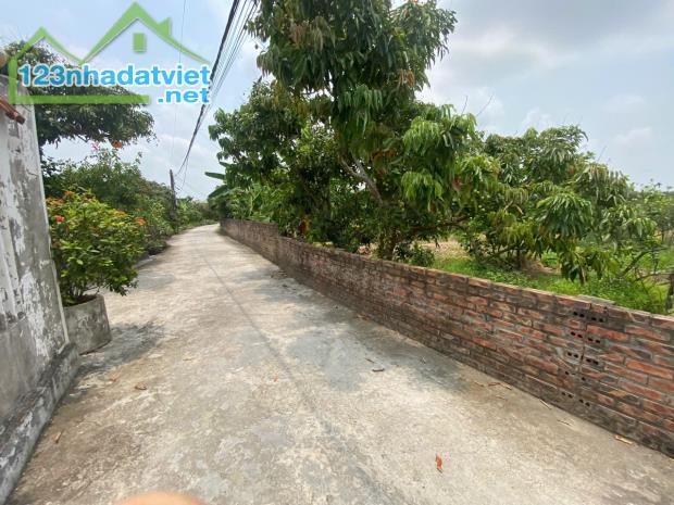 Bán đất Thanh Hồng – Hạ tầng đồng bộ – Gần trường, chợ, 320m chỉ 9 tỷ. - 1