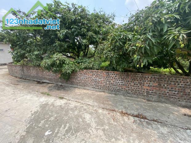 Bán đất Thanh Hồng – Hạ tầng đồng bộ – Gần trường, chợ, 320m chỉ 9 tỷ. - 3