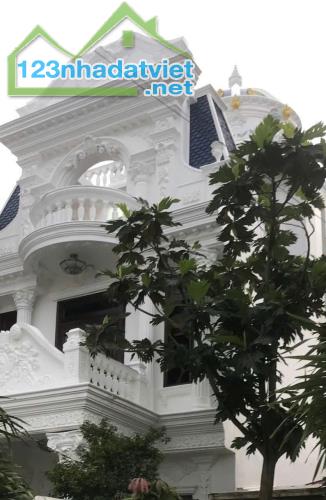 BÁN BIỆT THỰ 3,5 TẦNG PHONG CÁCH LÂU ĐÀI PHÁP TÂN CỔ ĐIỂN, KIỆT ÔTÔ VÕ NGUYÊN GIÁP, TP HUẾ - 2