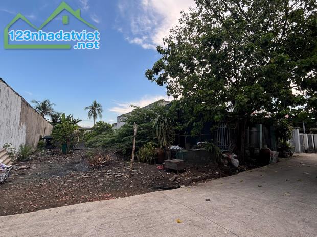 Bán đất thổ cư gần chợ Nhựt Chánh, Long An - 2