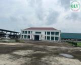 Bán nhà xưởng 11.275 m2 trong KCN Vsip 1 – Thuận An, Bình Dương