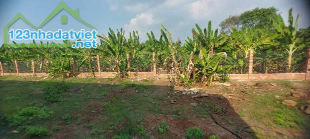 CHÍNH CHỦ Cho thuê đất tại xã Thanh Bình, huyện Trảng Bom,Tỉnh Đồng Nai - 4