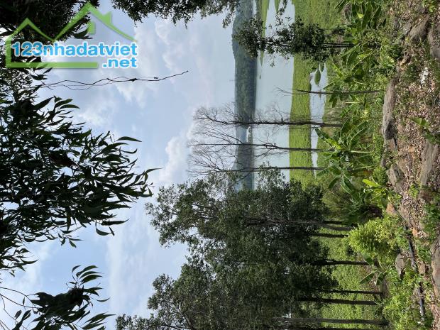 Bán gấp lô đất view HỒ TRỊ AN tuyệt đẹp giá rẻ - 1