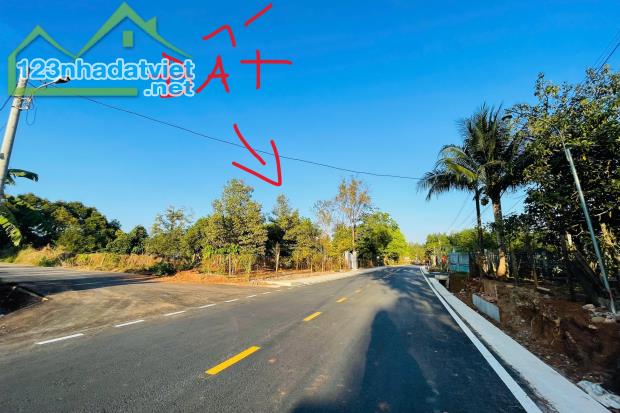 BÁN SÀO ĐẤT SÁT QL13 (1.323m2) SẴN 100TC SHR NGAY QUỐC LỘ 13 TRUNG TÂM THỊ XÃ 520tr