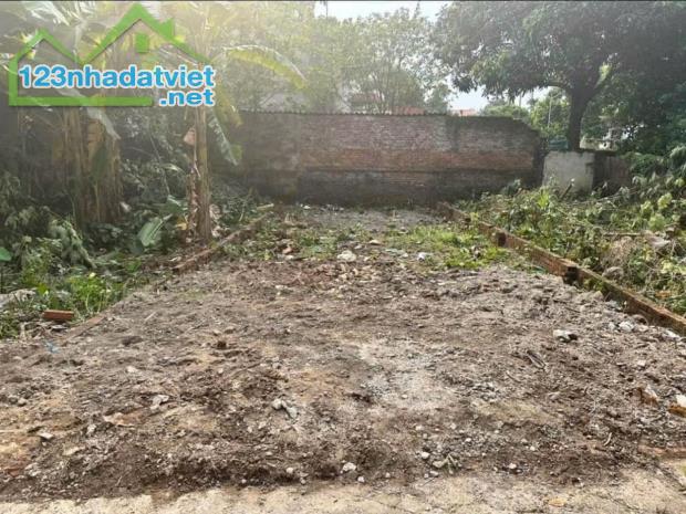 CẦN BÁN NHANH LÔ ĐẤT TẠI Xóm Tiên, Tiên Hùng, Nguyên Khê, Đông Anh, TP Hà Nội - 3