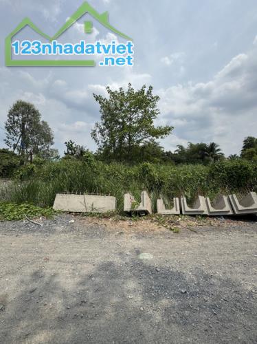 Bán đất mặt tiền Bình Chánh, đường Láng Le Bàu Cò, 1520m2, 3 mặt tiền, chỉ 10+X tỷ - 4
