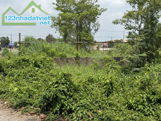 Bán đất mặt tiền Bình Chánh, đường Láng Le Bàu Cò, 1520m2, 3 mặt tiền, chỉ 10+X tỷ - 2