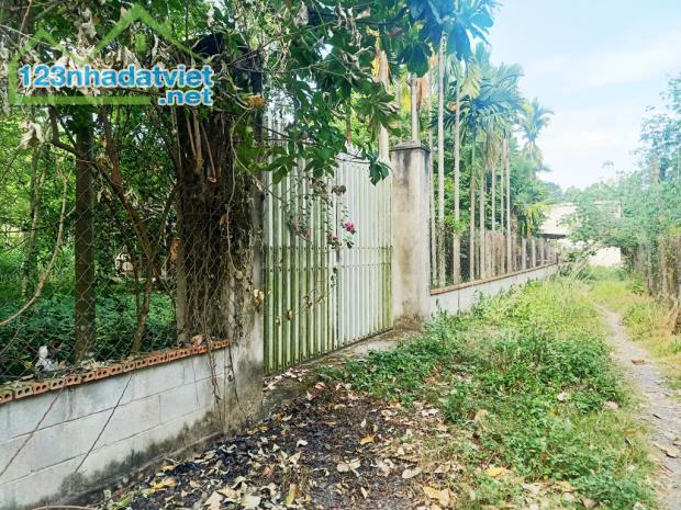Bán nhà vườn 1/ đường 437 - 1653m2 - 30x59 - 300m2 thổ cư - xã Phú Hòa Đông - Củ Chi - 4