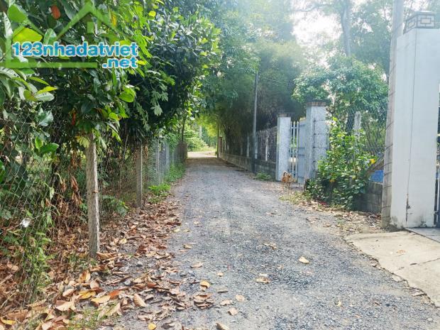 Bán nhà vườn 1/ đường 437 - 1653m2 - 30x59 - 300m2 thổ cư - xã Phú Hòa Đông - Củ Chi - 3